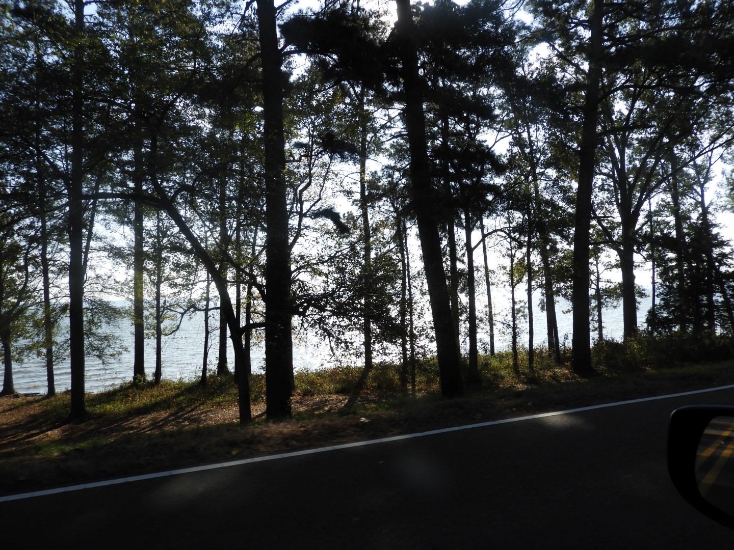 Natchez Trace Parkway National Park north of Jackson MS 16 of 19 (#2344)