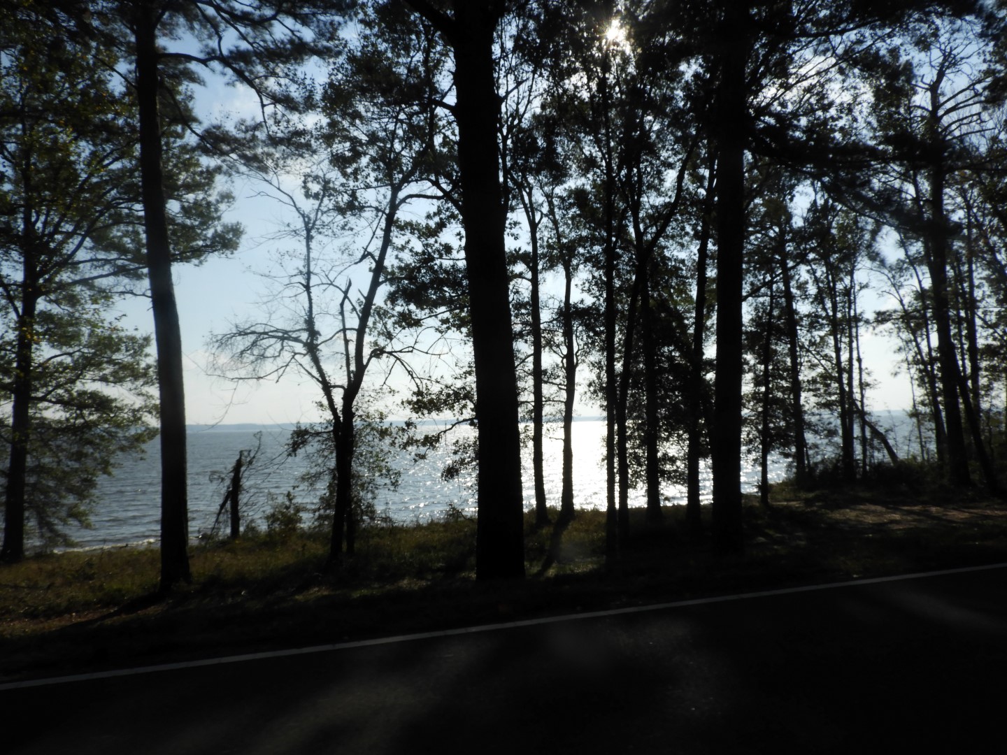 Natchez Trace Parkway National Park north of Jackson MS 17 of 19 (#2345)