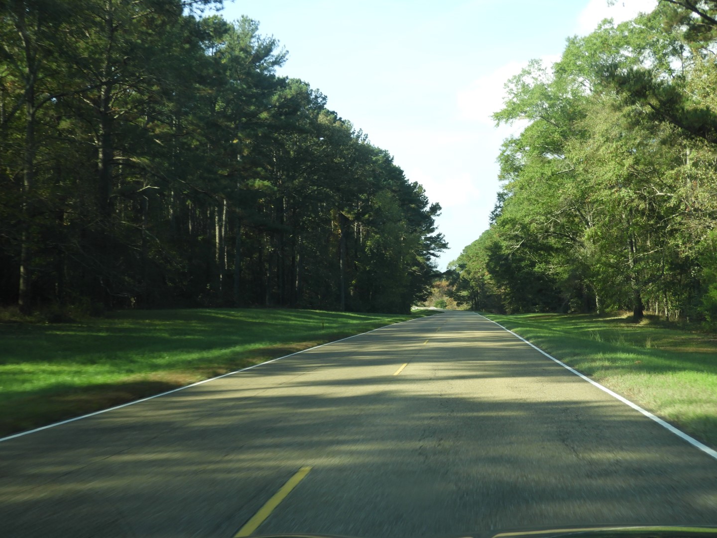 Natchez Trace Parkway National Park north of Jackson MS 18 of 19 (#2347)