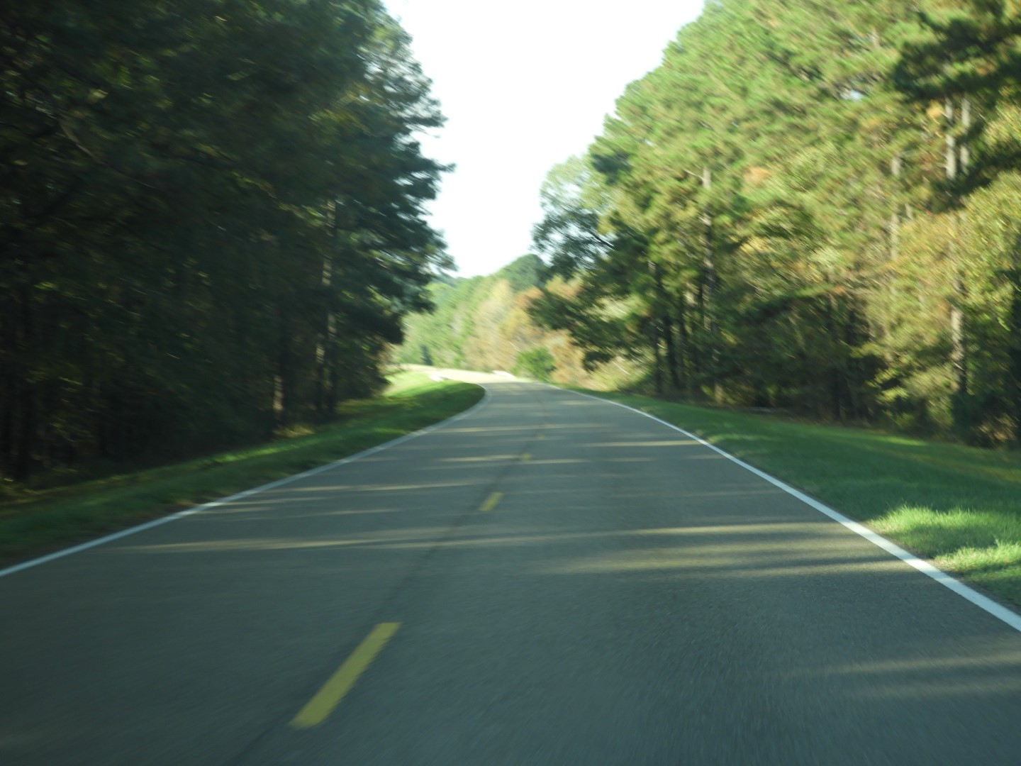 Natchez Trace Parkway National Park north of Jackson MS 19 of 19 (#2349)