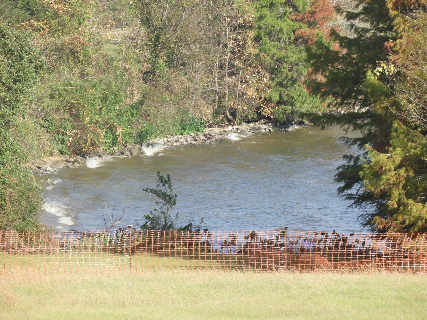 Overlook from Natchez Trace Parkway National Park  2 of 11 (#2350)