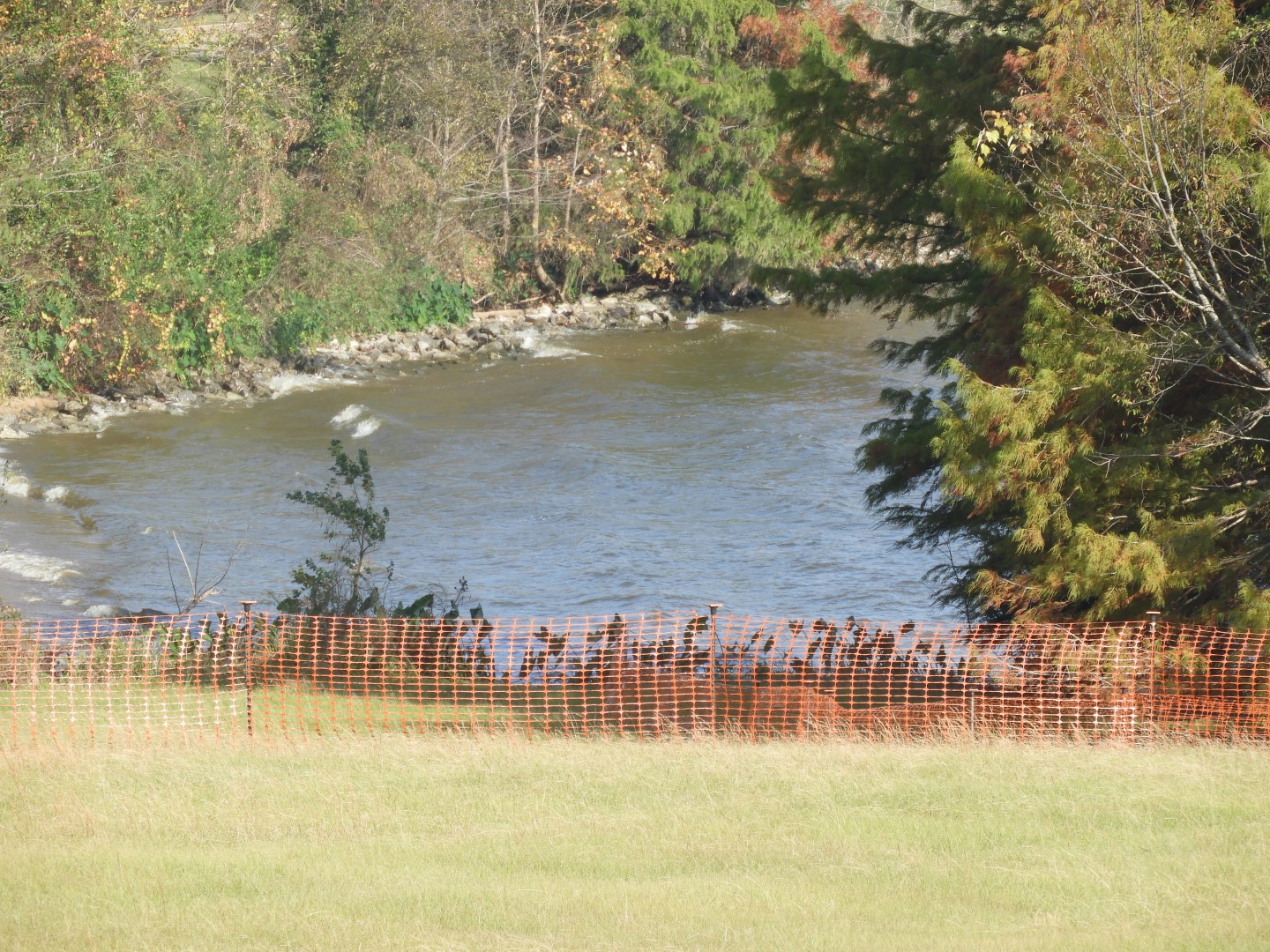 Overlook from Natchez Trace Parkway National Park  3 of 11 (#2351)