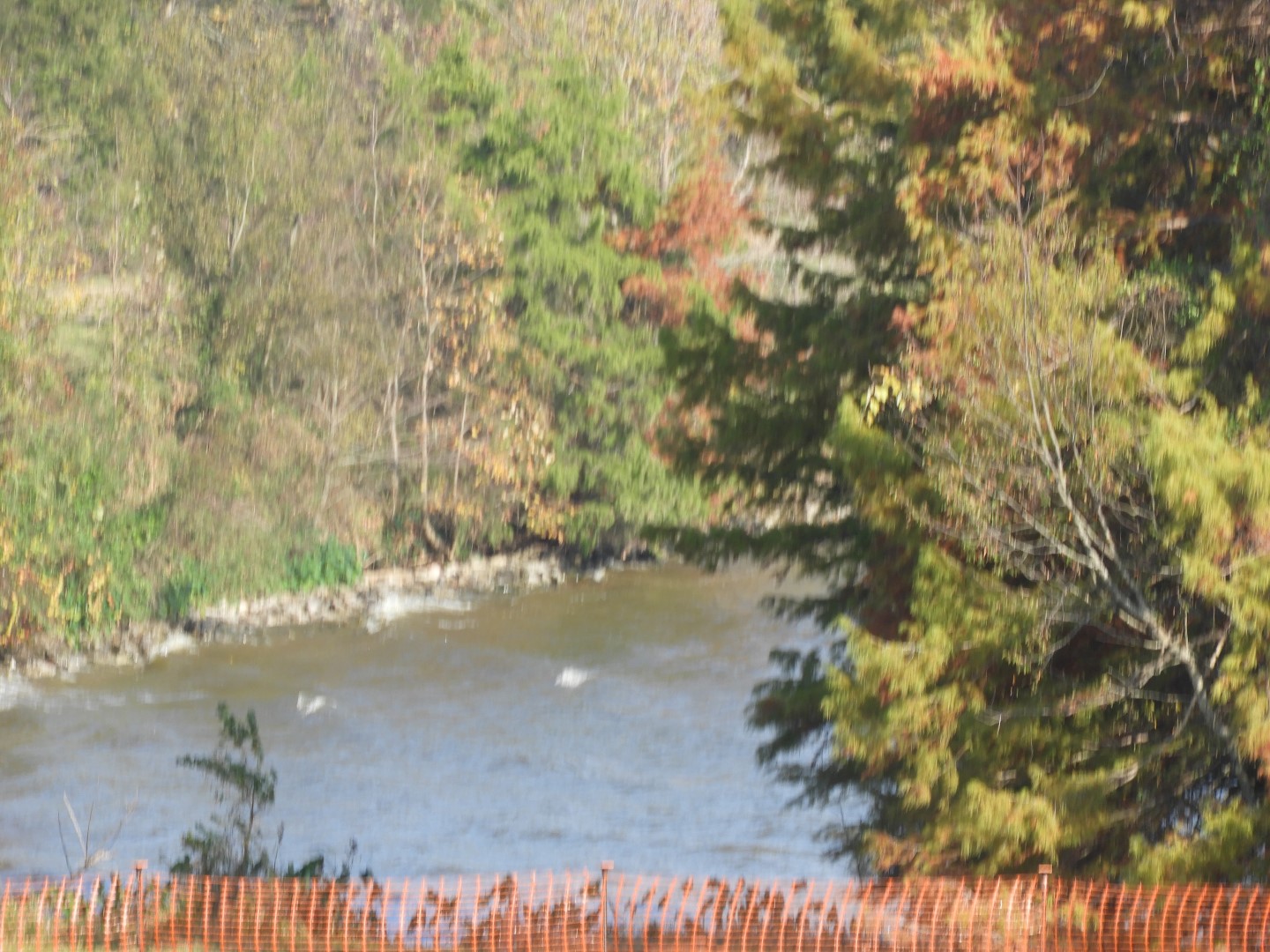 Overlook from Natchez Trace Parkway National Park  4 of 11 (#2352)
