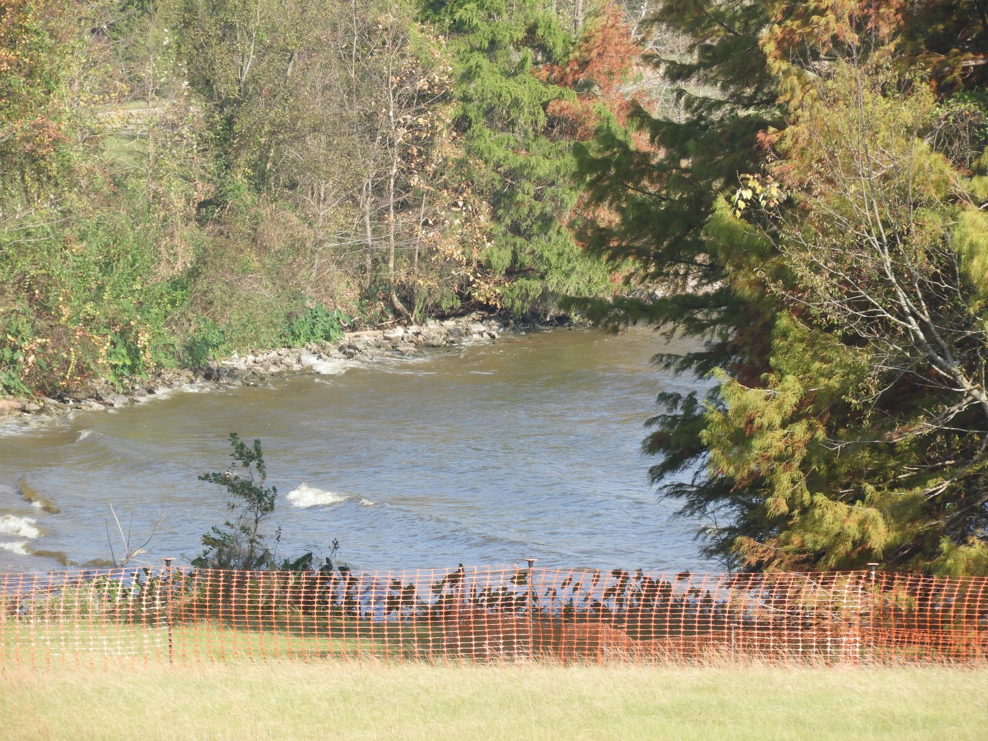 Overlook from Natchez Trace Parkway National Park  5 of 11 (#2353)