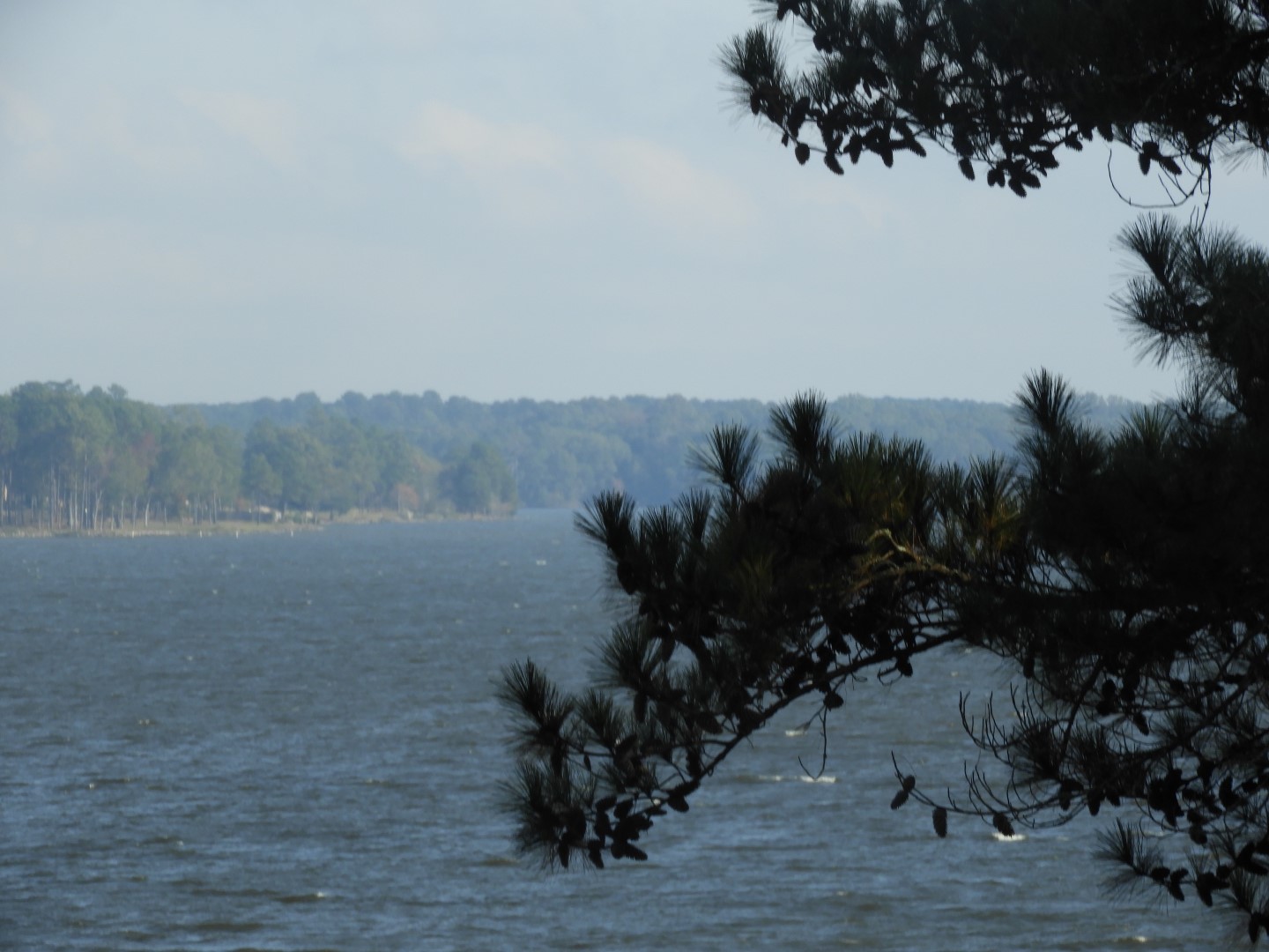 Overlook from Natchez Trace Parkway National Park  6 of 11 (#2354)
