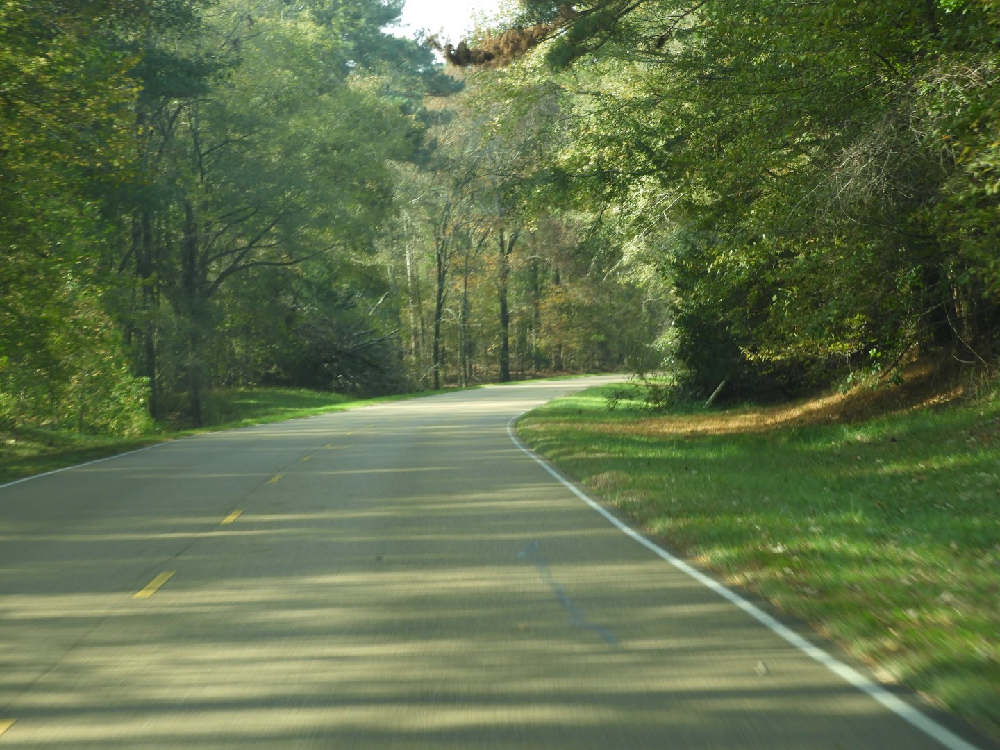 Natchez Trace Parkway National Park south of Jackson MS  1 of  5 (#2364)