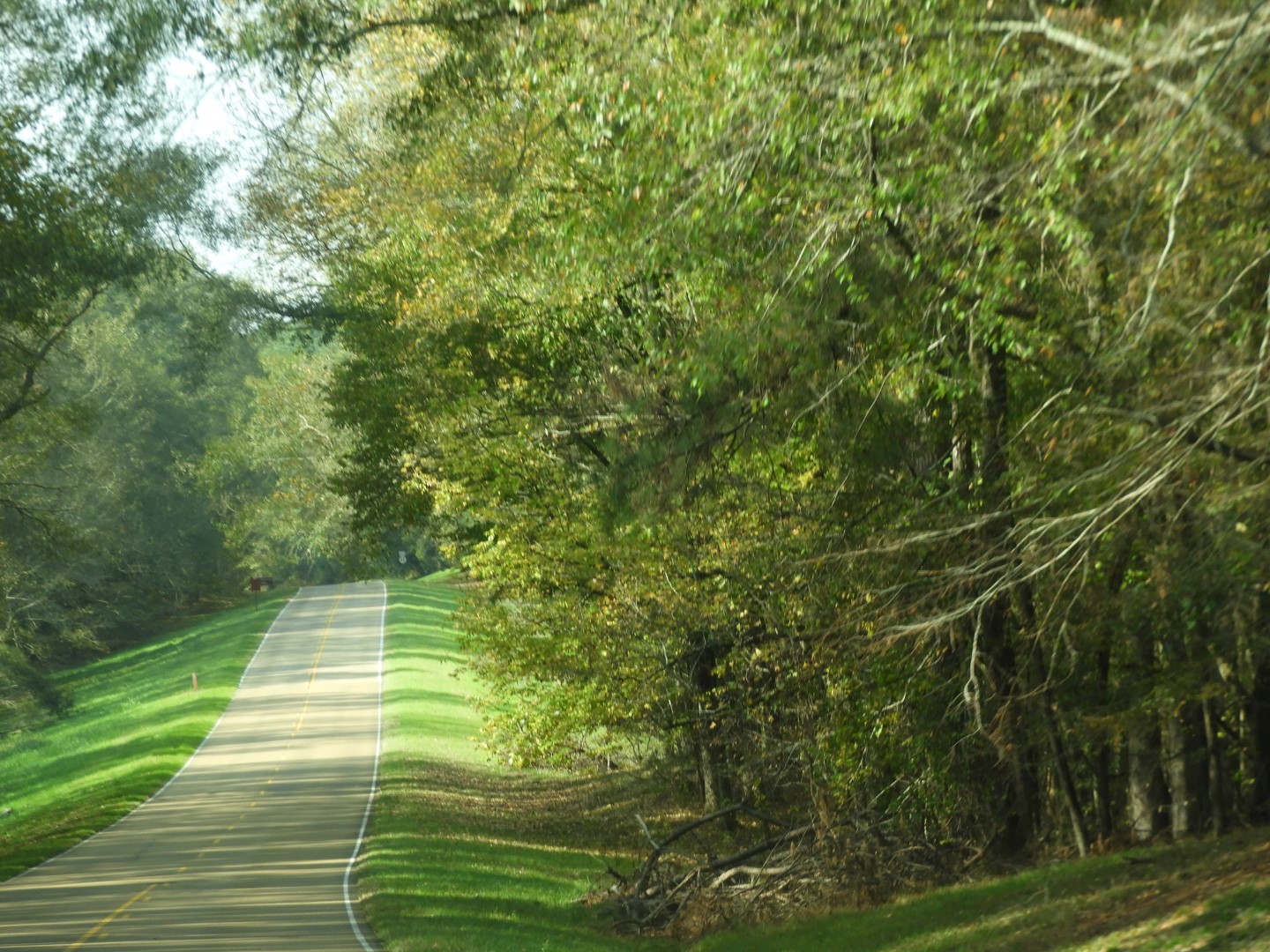 Natchez Trace Parkway National Park south of Jackson MS  2 of  5 (#2365)