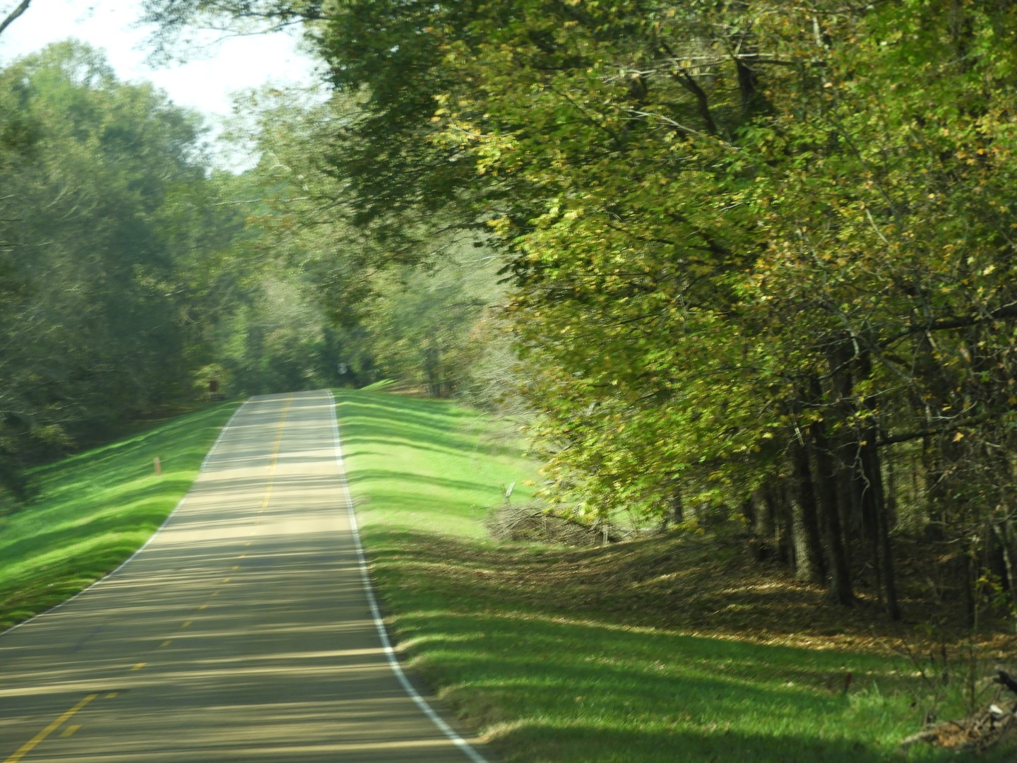 Natchez Trace Parkway National Park south of Jackson MS  3 of  5 (#2366)