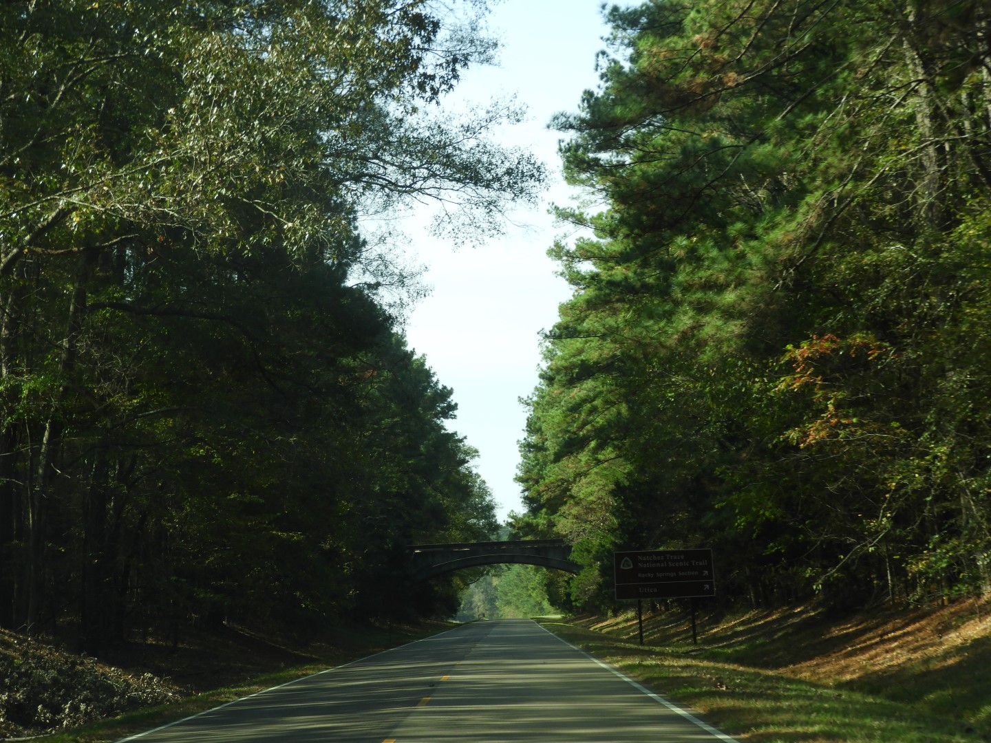 Natchez Trace Parkway National Park south of Jackson MS  4 of  5 (#2367)