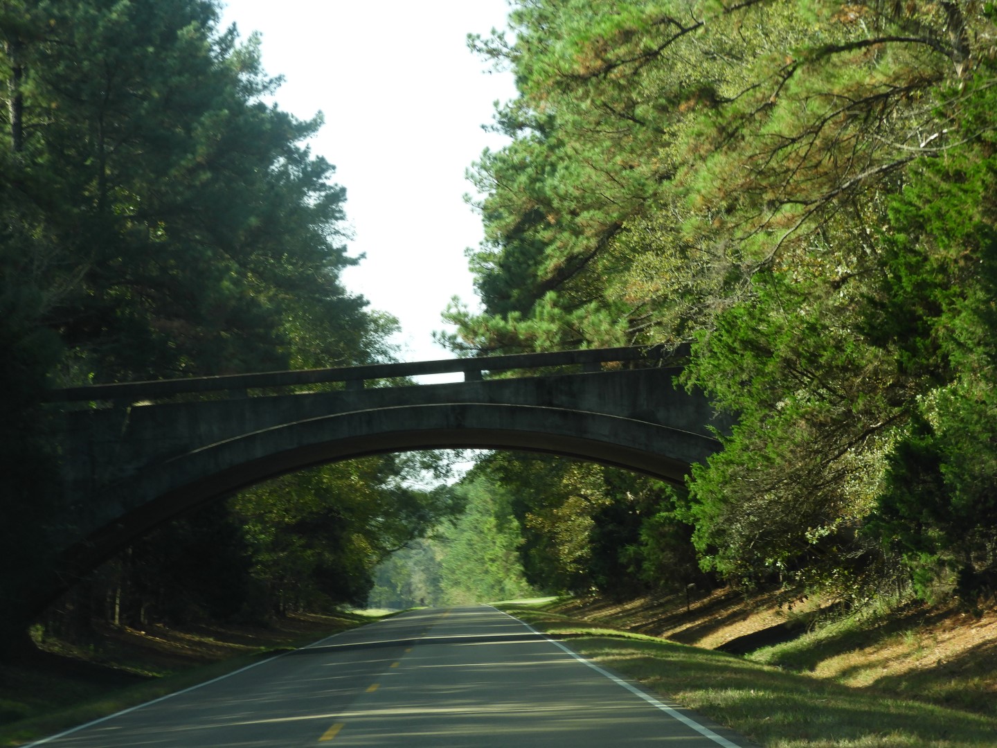 Natchez Trace Parkway National Park south of Jackson MS  5 of  5 (#2369)