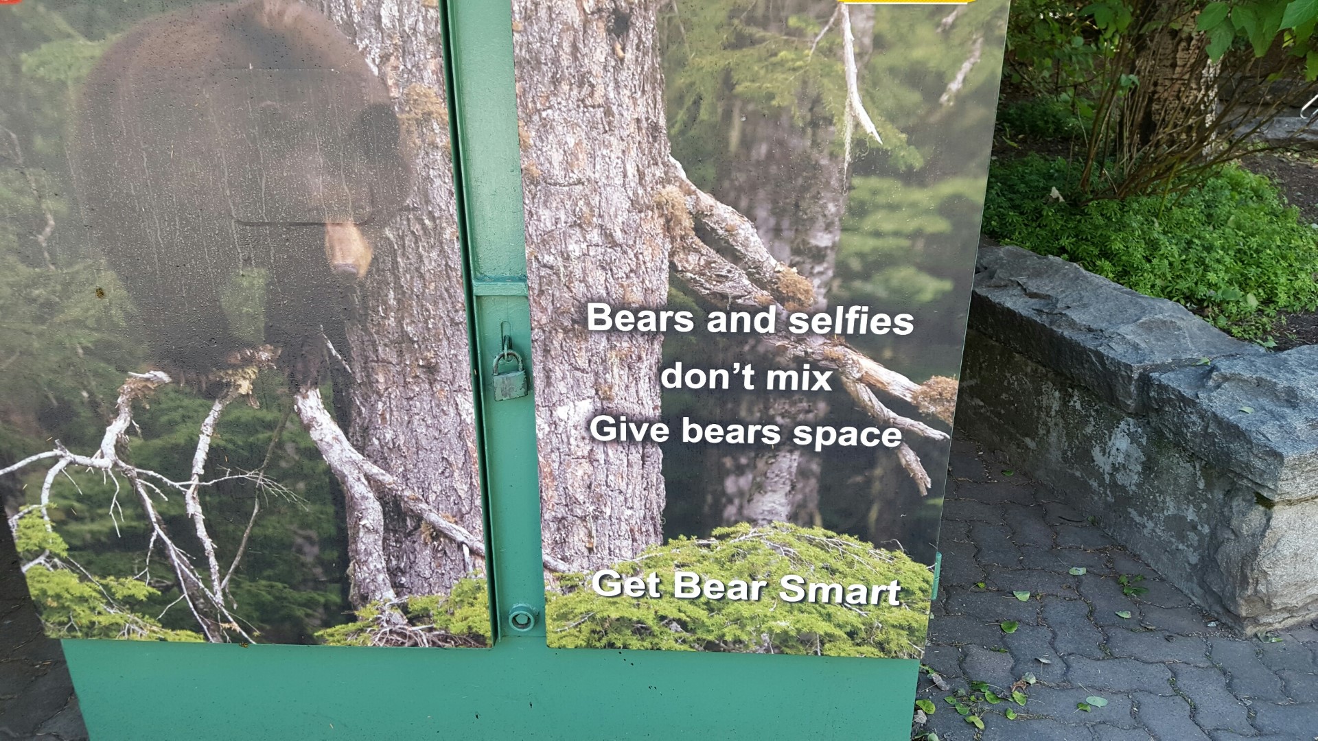 Some Special Items seen in Whistler in British Columbia, Canada  1 of  2 (#whistler1)