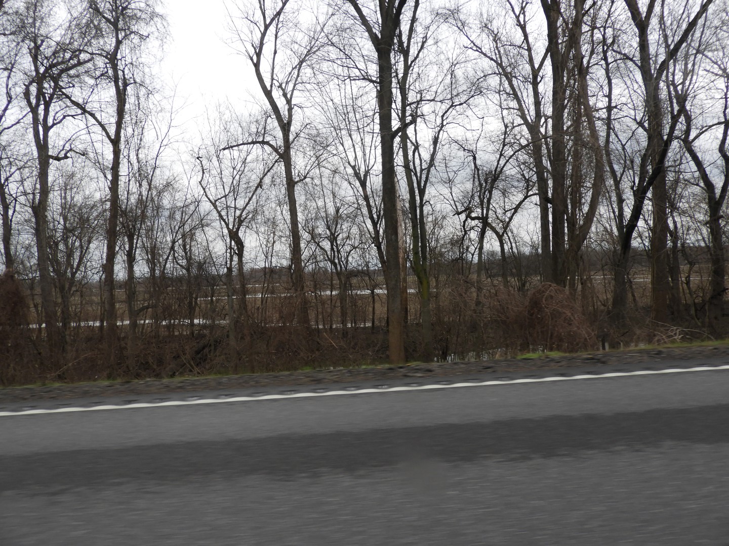 Sites along highway going to Murray  1 of  3 (#2461)