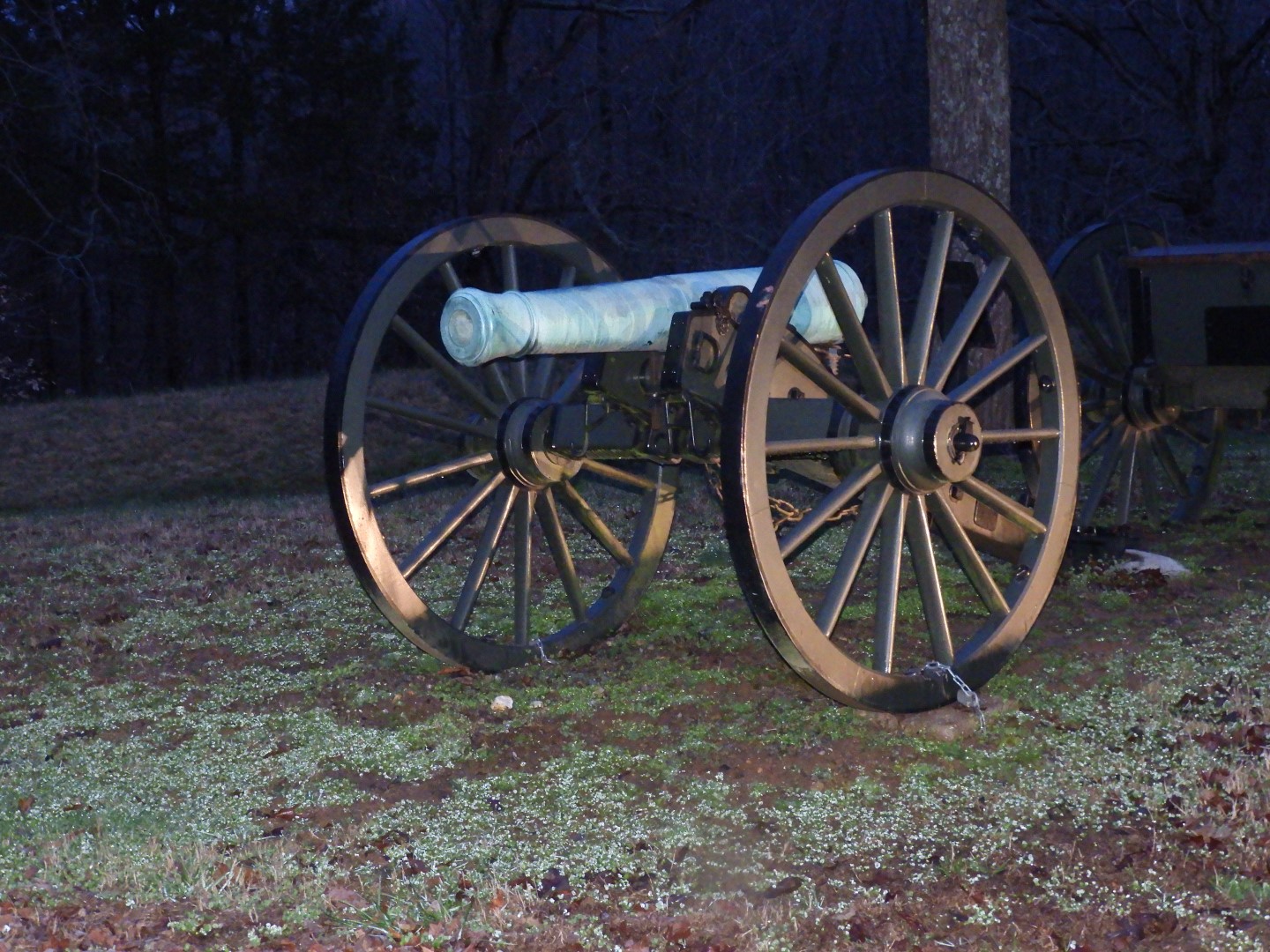 (in March) At closed-before-sunrise Ft. Donelson National Park near Dover TN  4 of  4 (#2482)