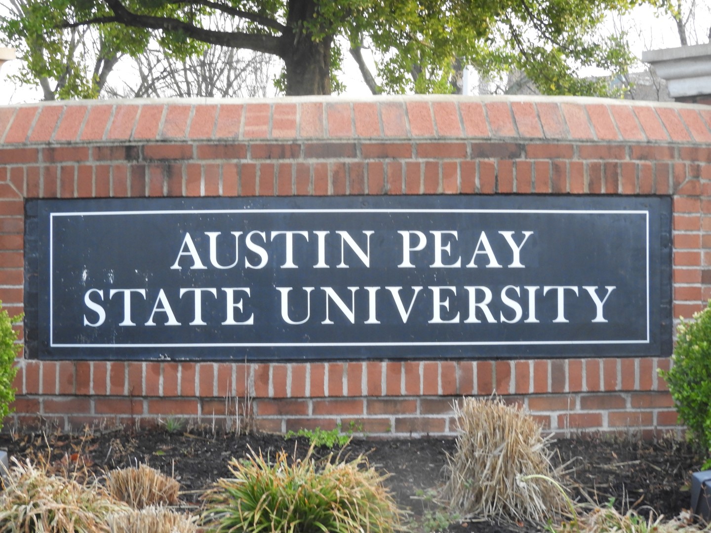 Austin Peay University in Clarksville  1 of  4 (#2486)