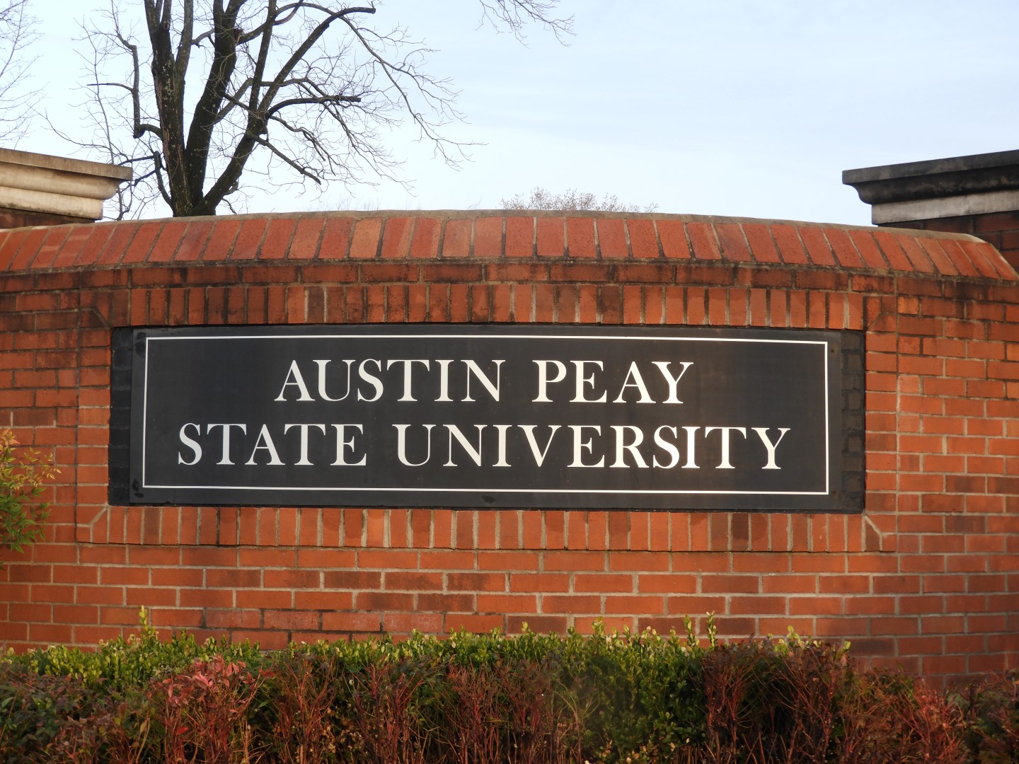 Austin Peay University in Clarksville  2 of  4 (#2487)