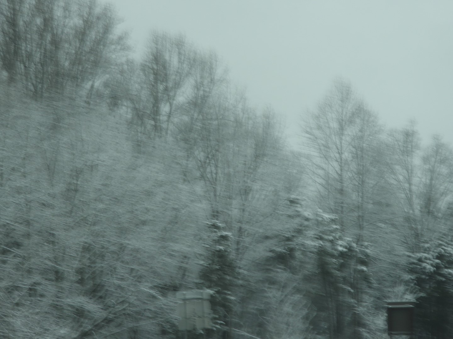 Snowy spring sites along entry to Mammoth Cave National Park  1 of 18 (#2491)