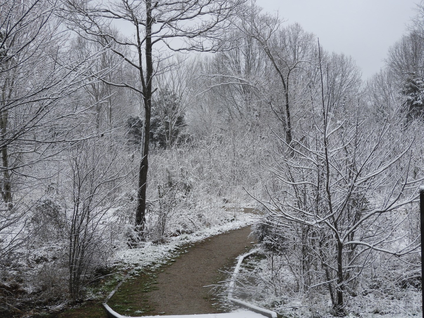 Snowy spring sites along entry to Mammoth Cave National Park  3 of 18 (#2501)
