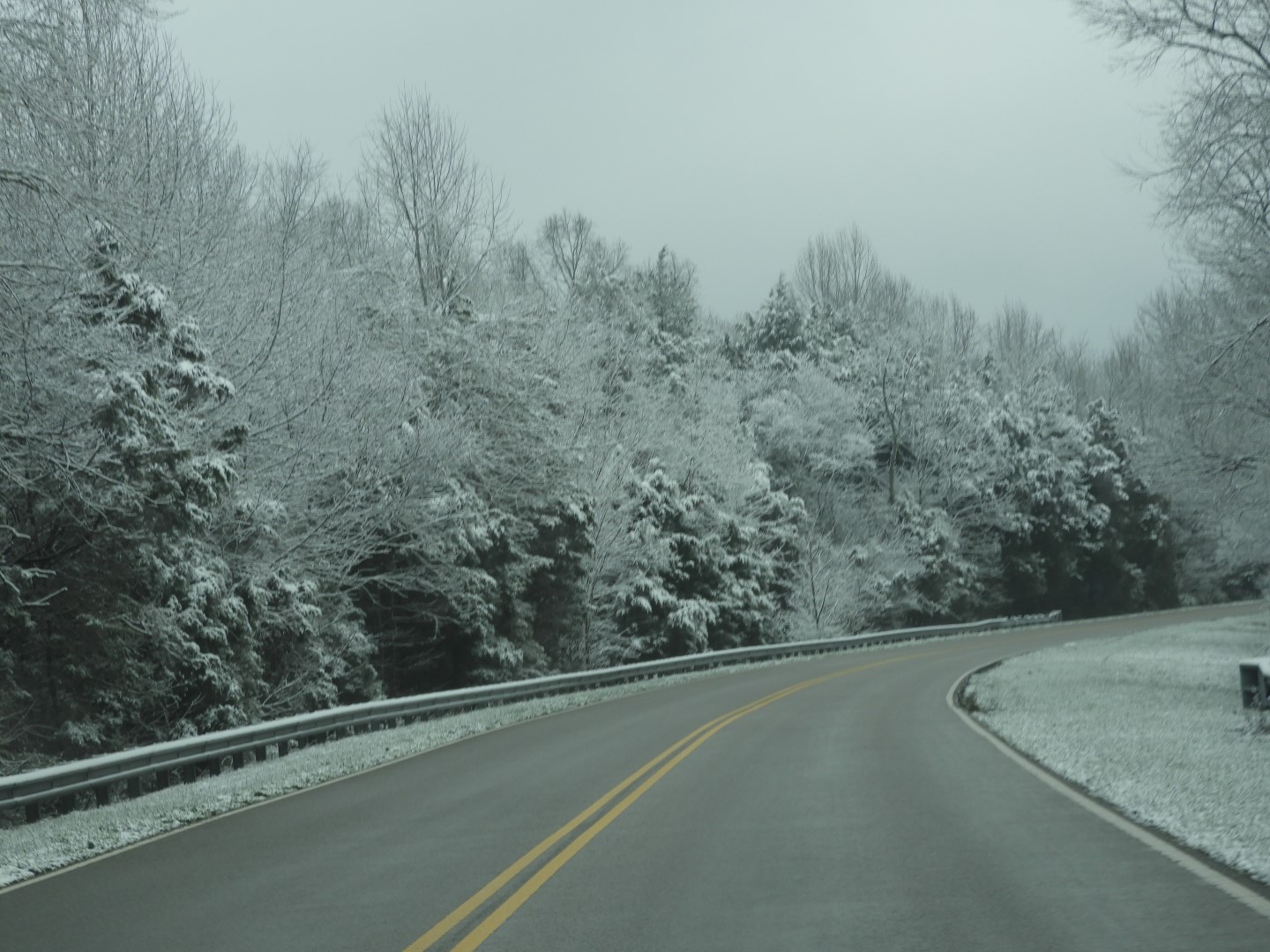 Snowy spring sites along entry to Mammoth Cave National Park  4 of 18 (#2502)
