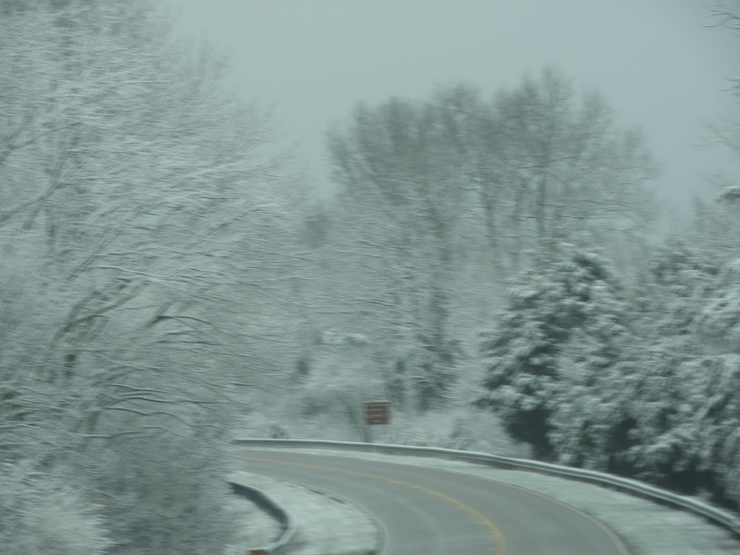 Snowy spring sites along entry to Mammoth Cave National Park  8 of 18 (#2506)