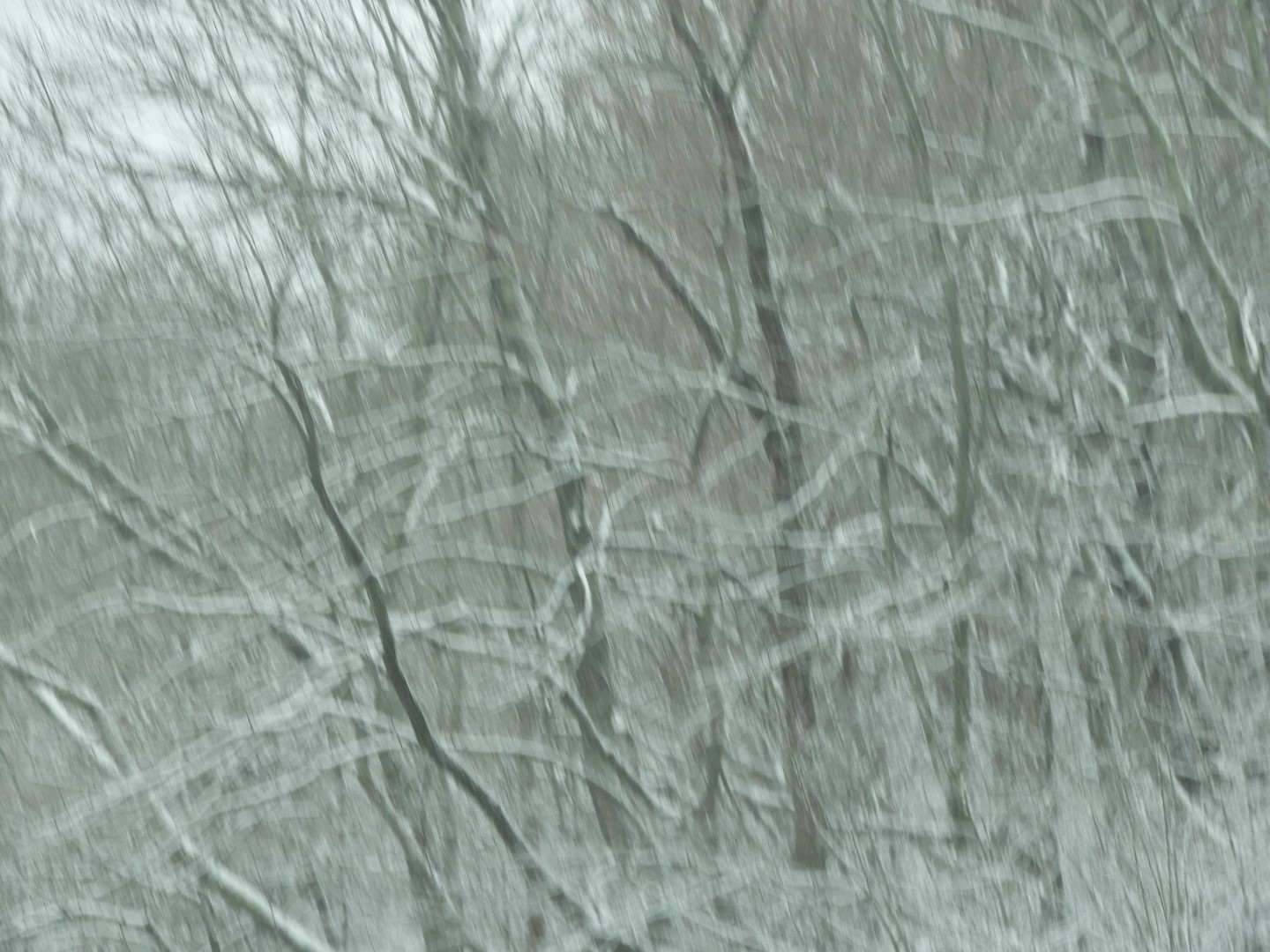 Snowy spring sites along entry to Mammoth Cave National Park  9 of 18 (#2507)