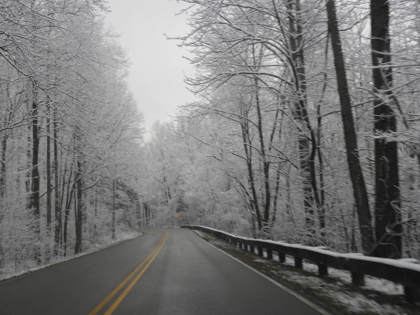 Snowy spring sites along entry to Mammoth Cave National Park 13 of 18 (#2511)