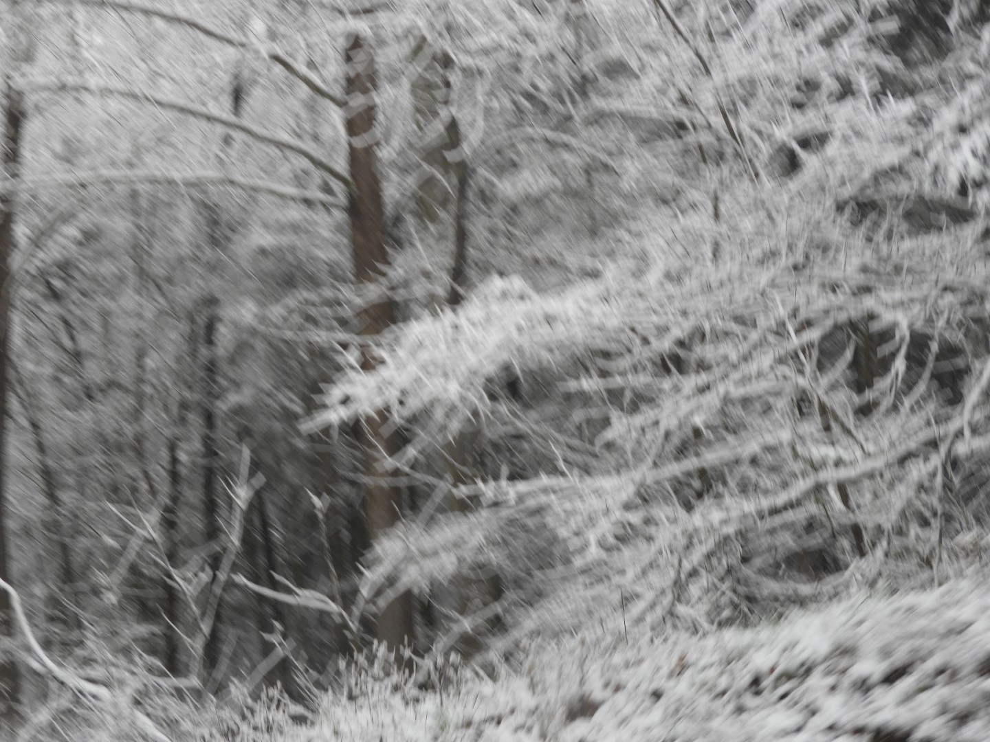 Snowy spring sites along entry to Mammoth Cave National Park 15 of 18 (#2513)