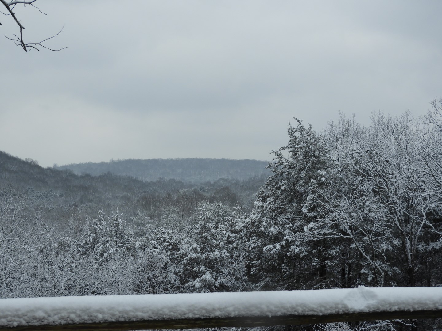 Overlook along entry to Mammoth Cave National Park  1 of  2 (#2521)