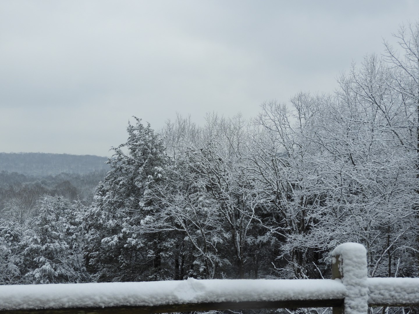 Overlook along entry to Mammoth Cave National Park  2 of  2 (#2522)