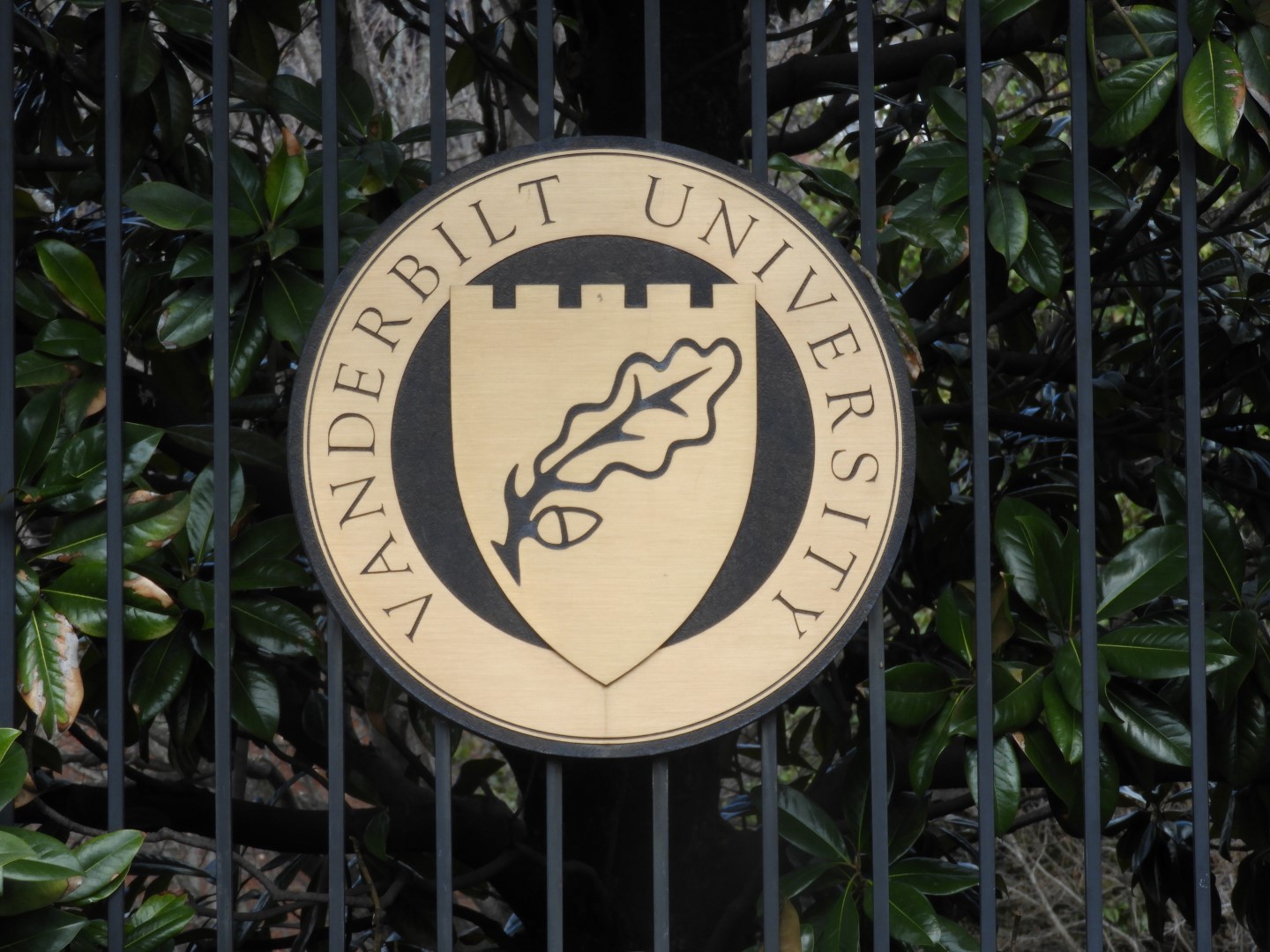 Vanderbilt University in Nashville  1 of  5 (#2534)