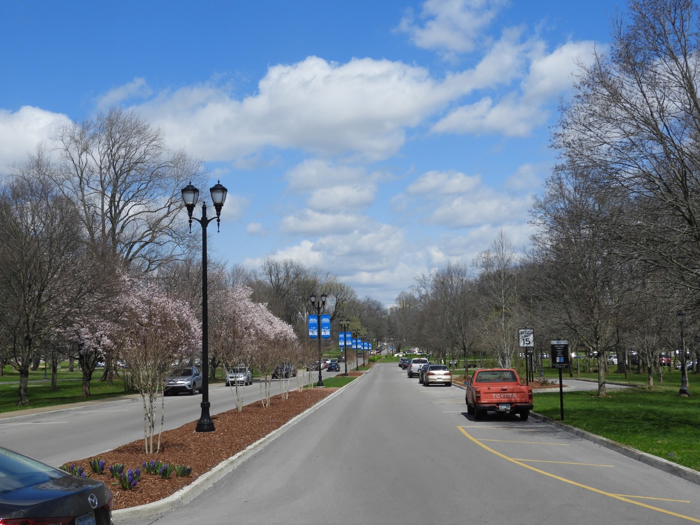 Middle Tennessee State University in Murfreesboro  2 of  5 (#2543)