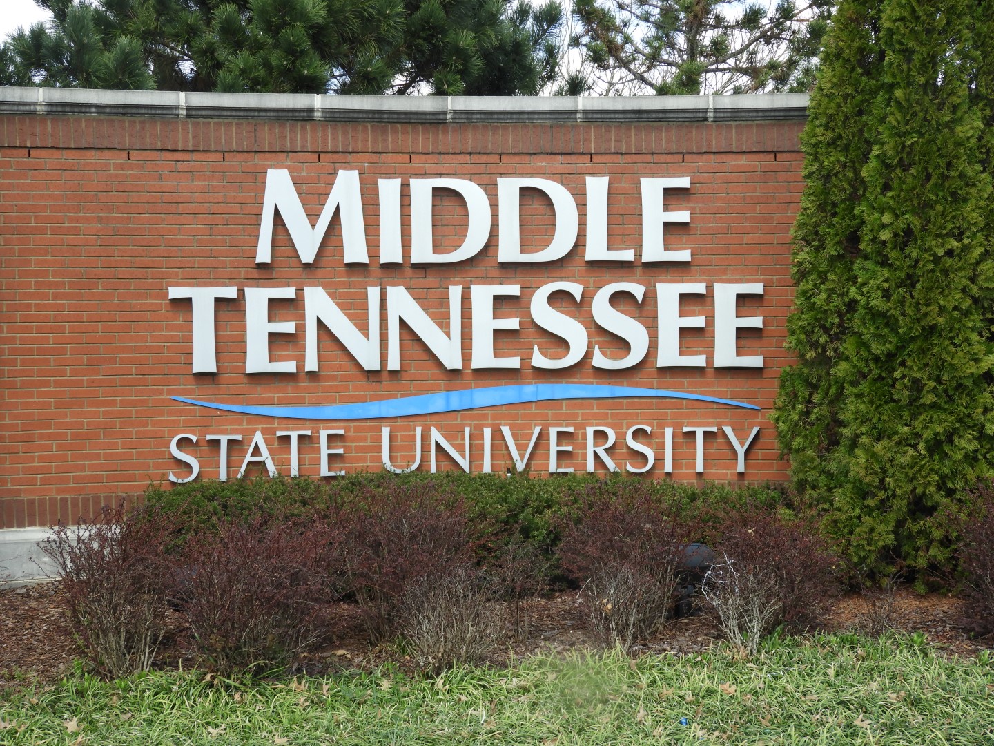 Middle Tennessee State University in Murfreesboro  3 of  5 (#2544)