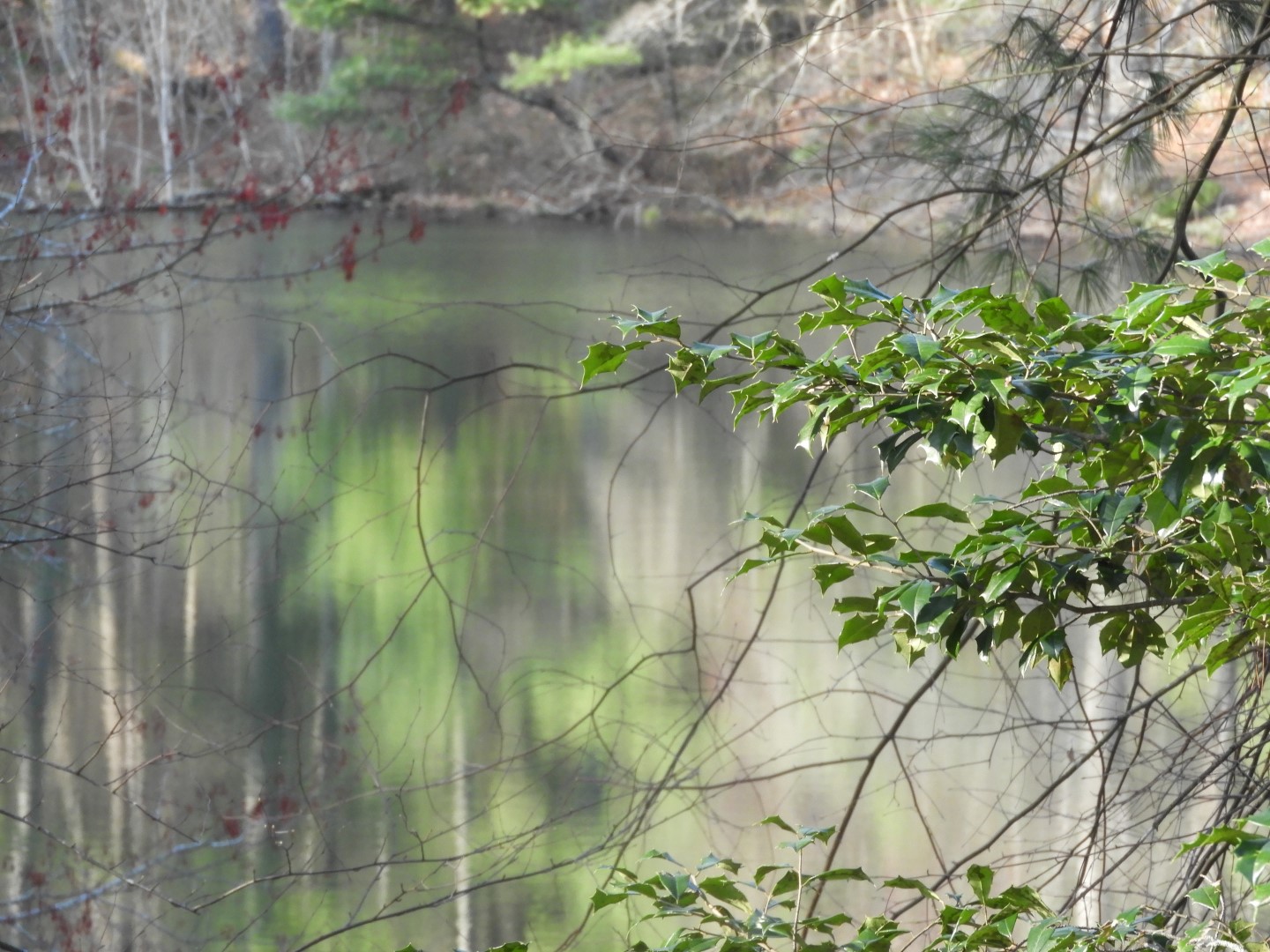 Lake at Carl Sandburg Home in Flat Rock NC  2 of  6 (#2564)