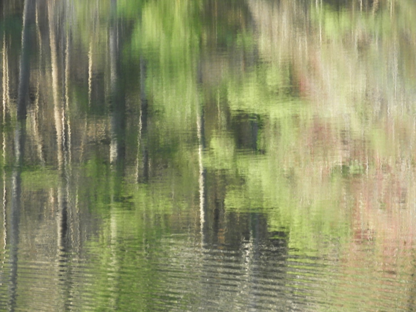 Lake at Carl Sandburg Home in Flat Rock NC  4 of  6 (#2571)
