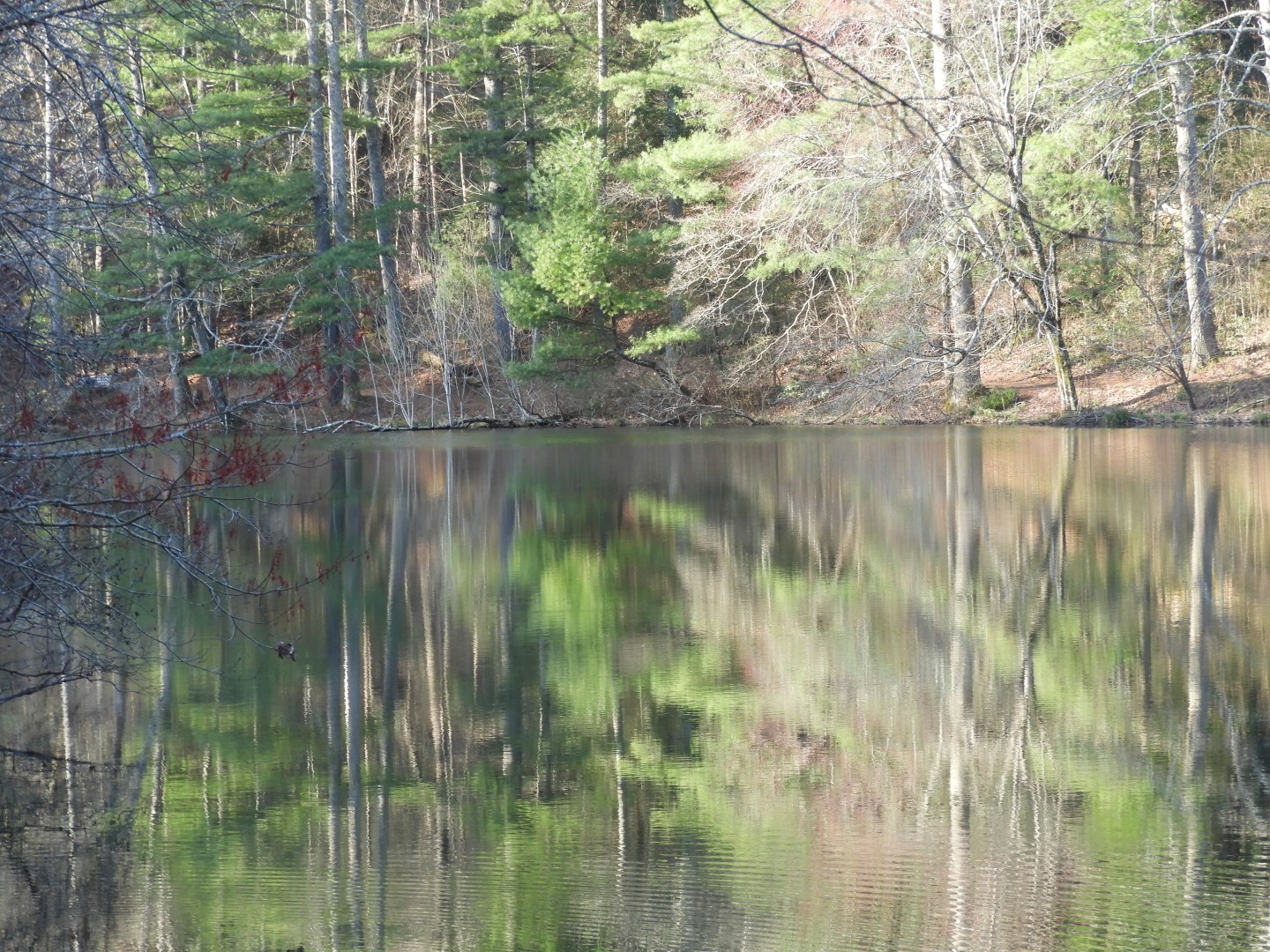 Lake at Carl Sandburg Home in Flat Rock NC  5 of  6 (#2572)