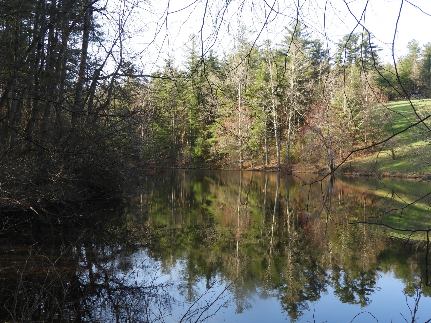 Lake at Carl Sandburg Home in Flat Rock NC  6 of  6 (#2573)