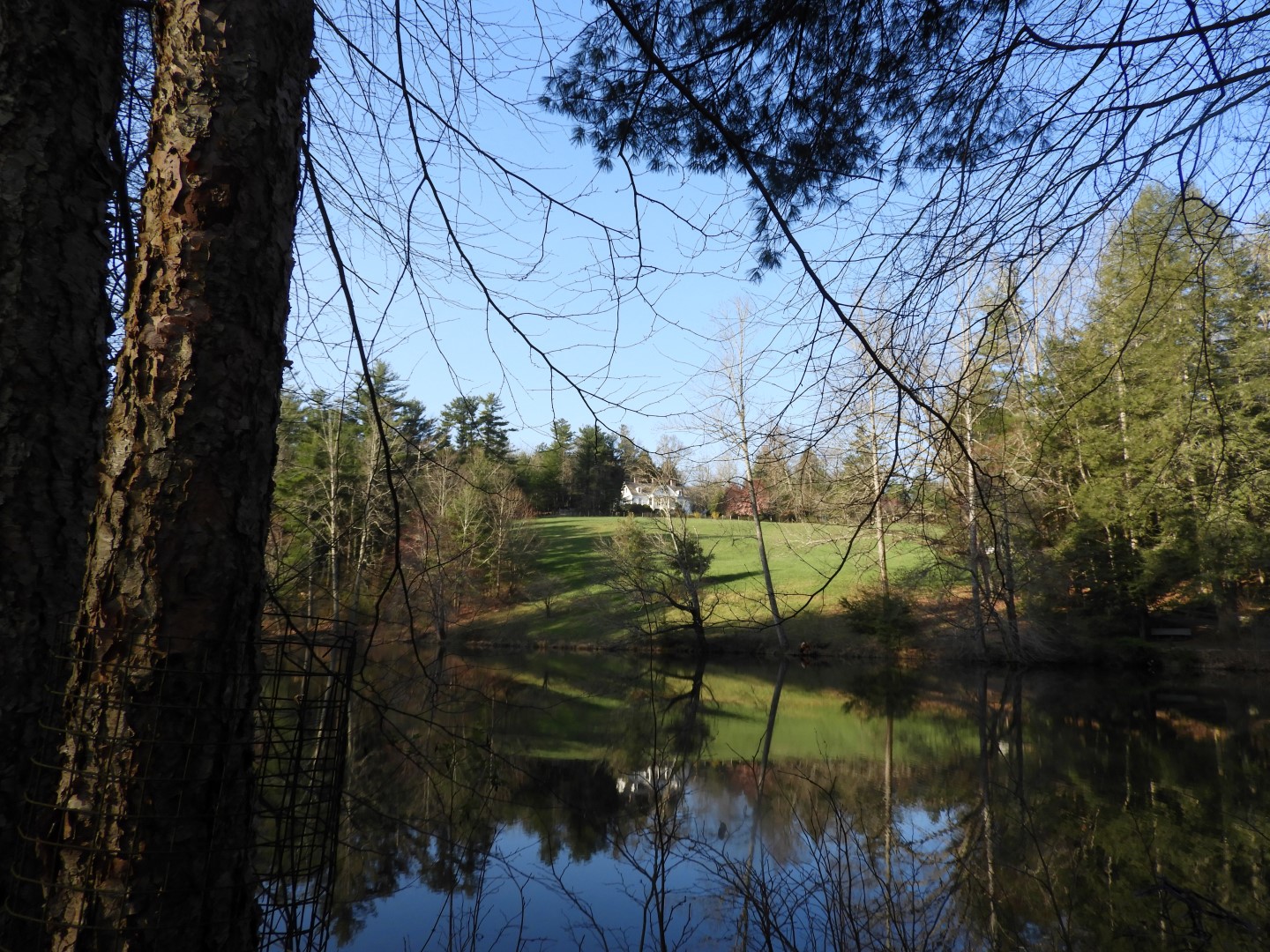 Carl Sandburg Home in Flat Rock NC  8 of  9 (#2574)