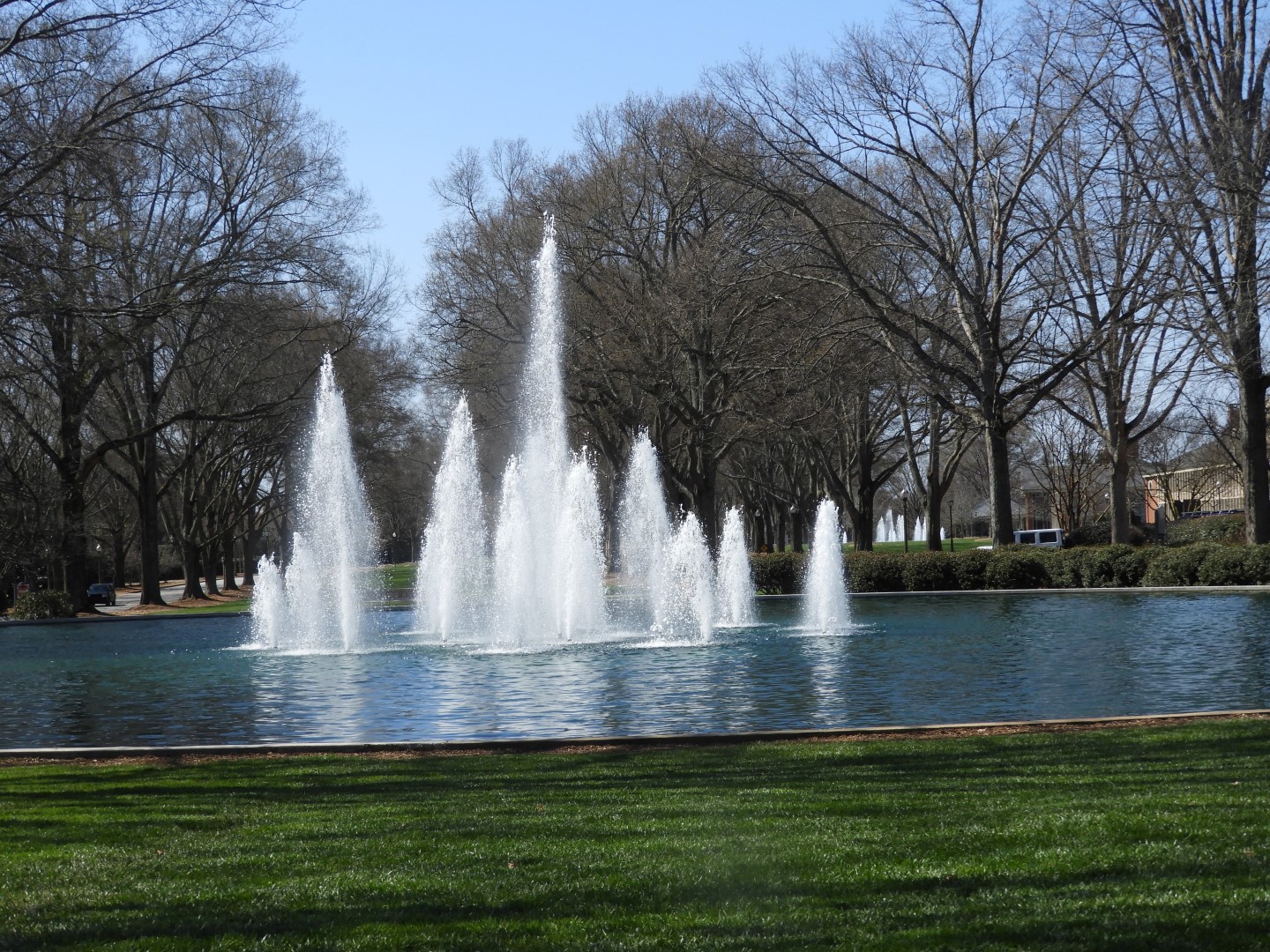 Furman University in Greenville SC  5 of  7 (#2594)