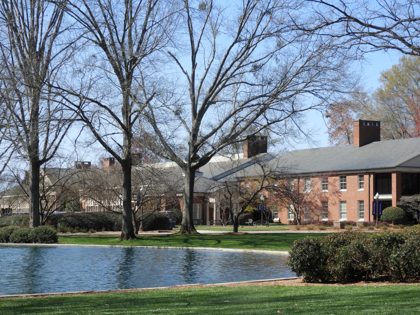 Furman University in Greenville SC  6 of  7 (#2595)