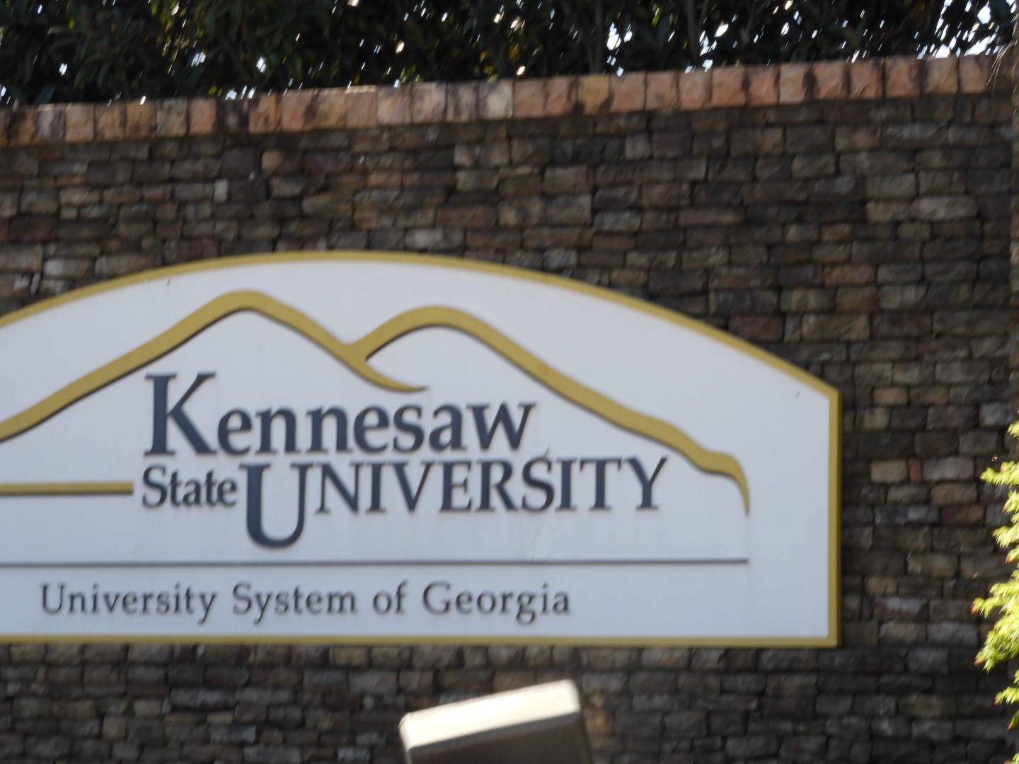 Kennesaw State University in Kennesaw GA  3 of  6 (#2604)