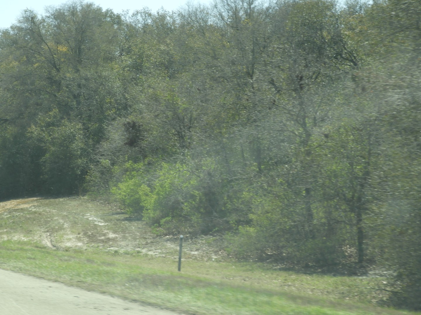 Mercer University in Macon  6 of  7 (#2639)