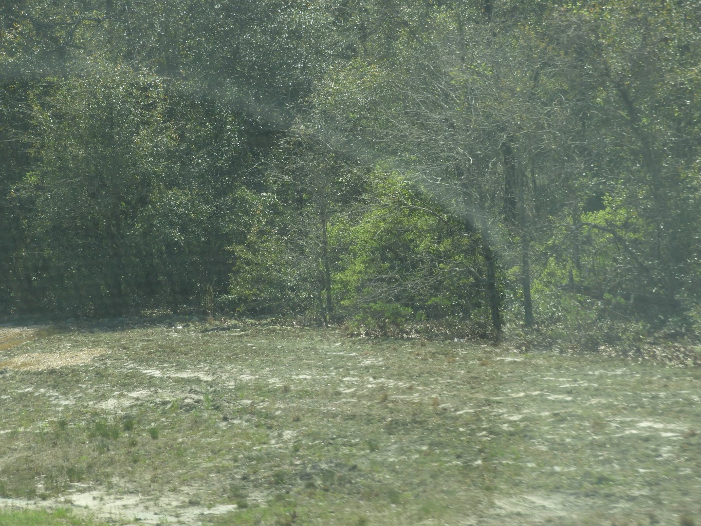 Mercer University in Macon  7 of  7 (#2640)