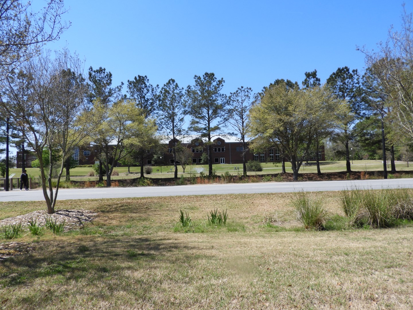 Georgia Southern University in Statesboro  6 of  7 (#2643)