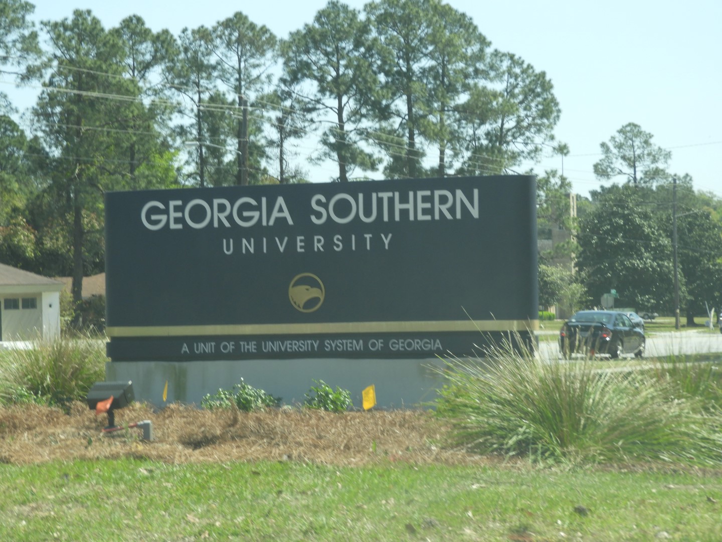 Georgia Southern University in Statesboro  5 of  7 (#2647)