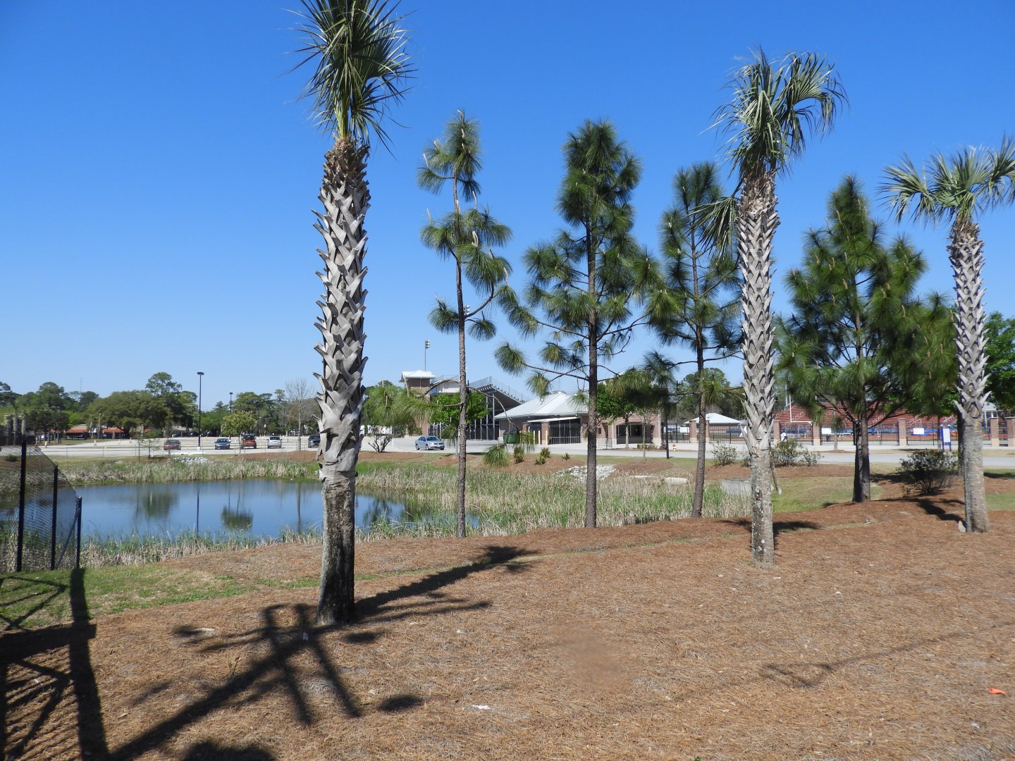 Savannah State University in Savannah  6 of  6 (#2651)