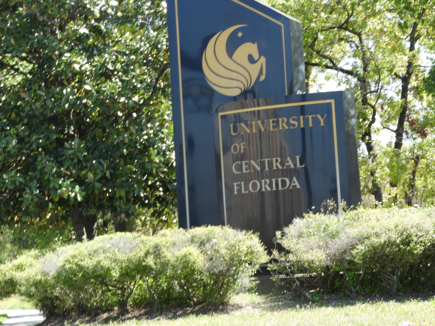 University Central Florida in Orlando  1 of  1 (#2696)