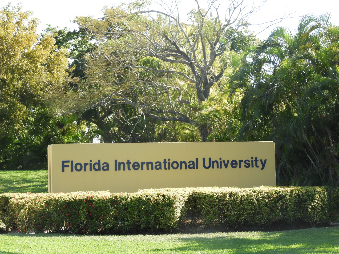 Florida International University South campus in Miami  1 of  4 (#2707)