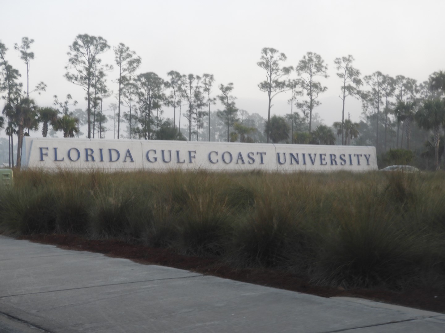 Florida Gulf Coast University in Ft. Myers FL  1 of  3 (#2713)