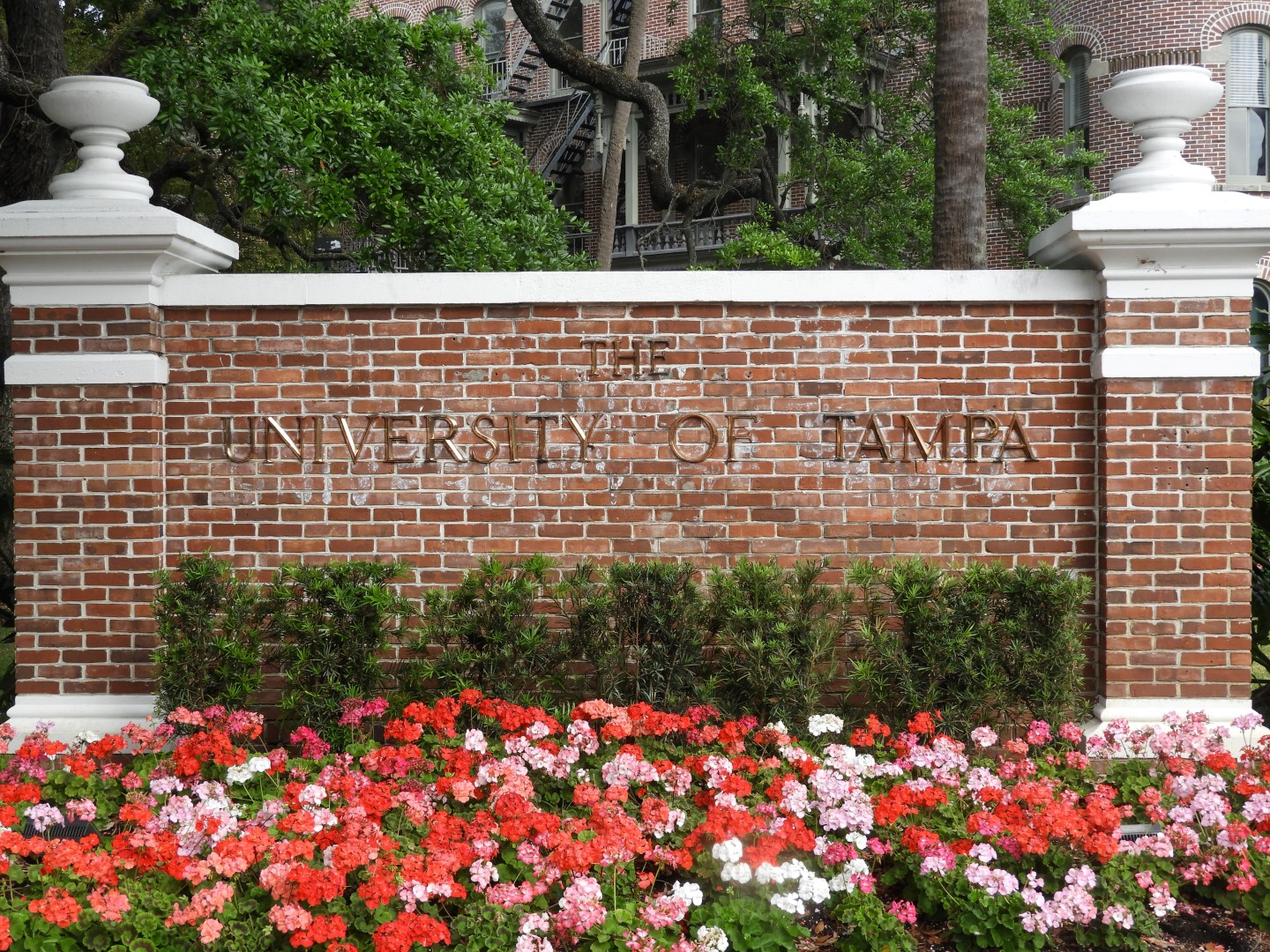 Tampa University in Tampa FL  2 of  2 (#2715)