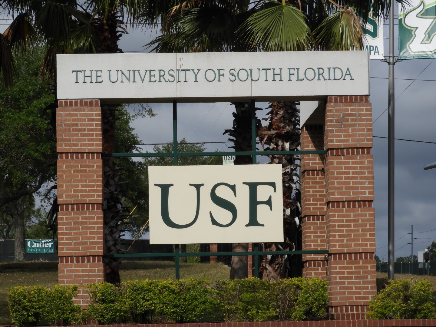 South Florida University in Tampa FL  1 of  1 (#2718)