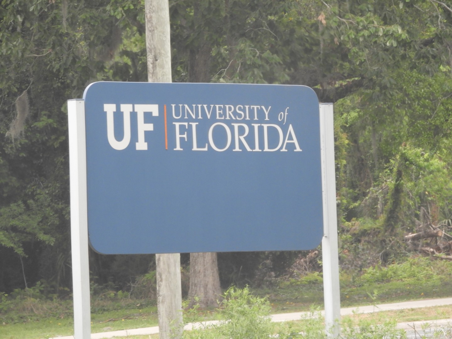 University of Florida in Gainesville FL  2 of  8 (#2719)